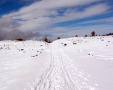 Mt Etna - world of adventures !!!: snowfield.