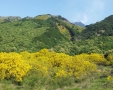Mt Etna patrimonio Unesco.