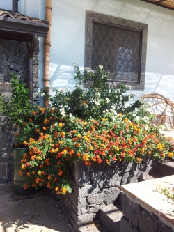 Spring on mt. Etna!.