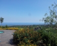 Spring on mt. Etna!.