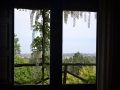 Bed and breakfast au vignoble, l'Etna et sa nature, la mer: window.