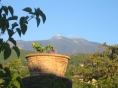 Rooms in the vineyard villa: Mt Etna.